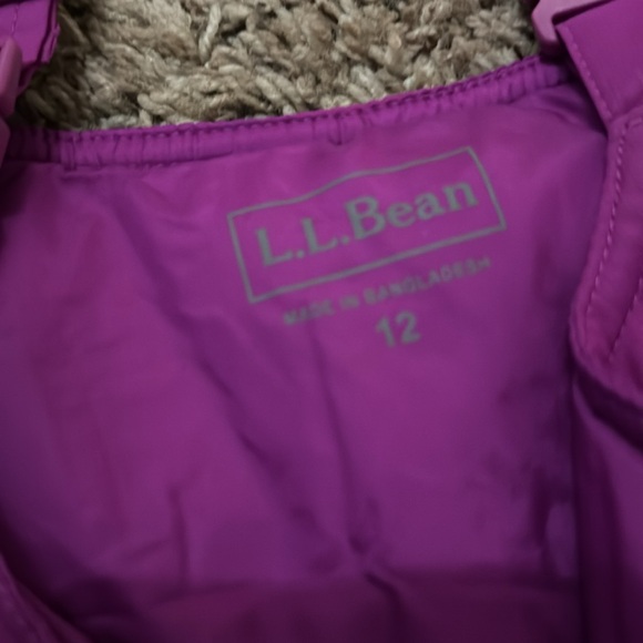 L.L. Bean Size 12 Girls Pink/Purple Snow Pants Bib Overalls Skiing - Picture 2 of 6